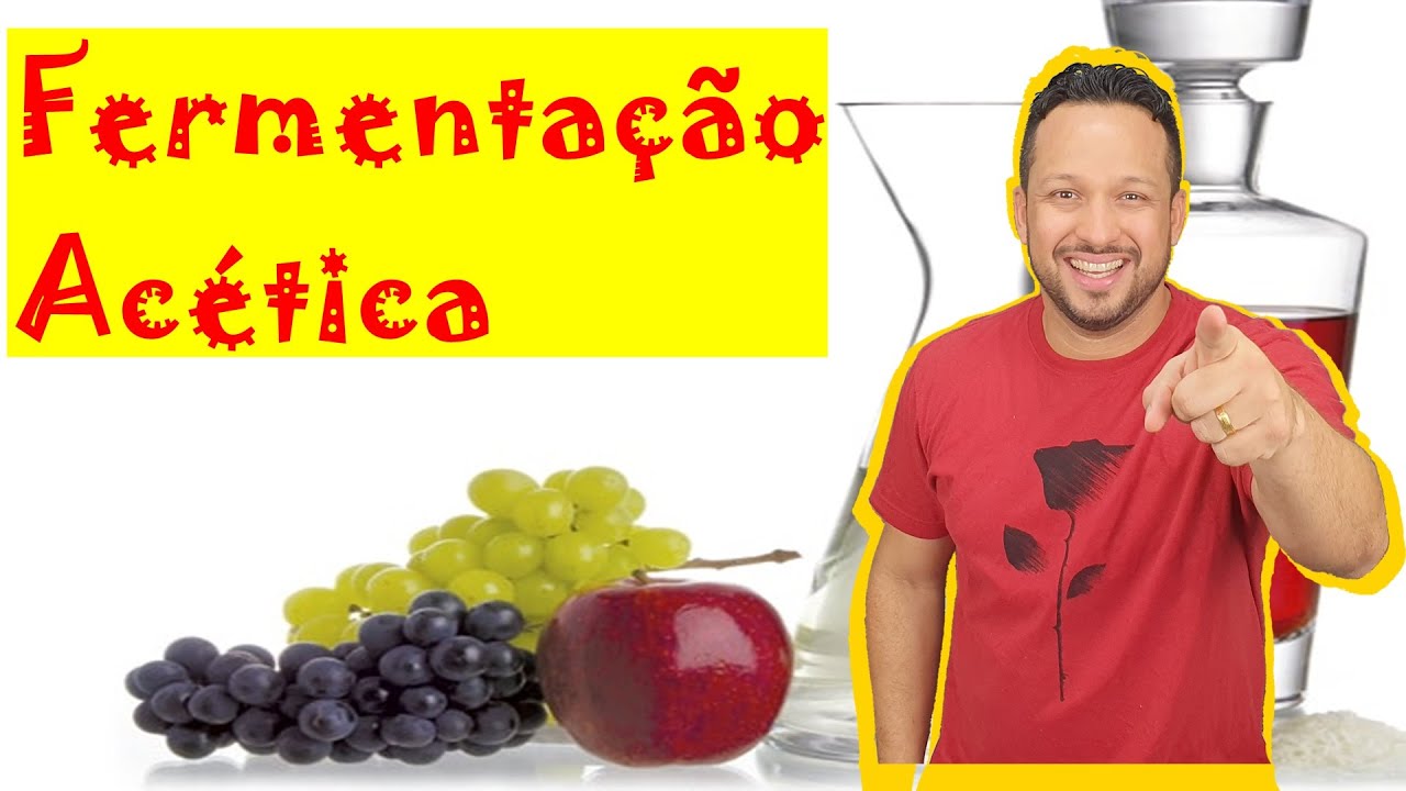 Fermentação Acética - Formação do Vinagre - Bioenergética - Biologia com o Tubarão