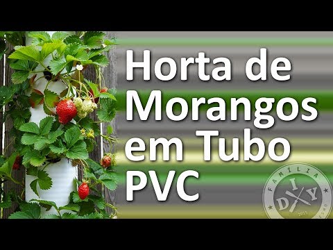 🍓 HORTA DE MORANGO NO CANO PVC - FAMÍLIA DIY