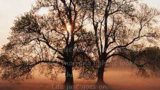 More to this Life by Steven Curtis Chapman