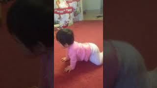 Tara Vo moi biet bo 2013 4284