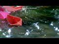 Pachai Kiligal Tholodu Song WhatsApp Status Ar Rahman