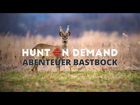 ABENTEUER BASTBOCK 💥🦌 – Hunt on Demand Free Episode