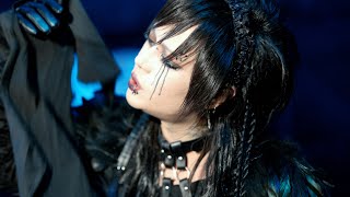 Cover art for 階段 [Official Video] from 日本盤 「5 old scars」