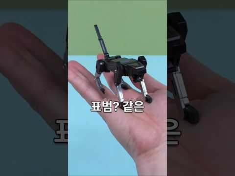 만지면 USB메모리로 변하는 저주에 걸림 #장난감 #웃긴 #재미