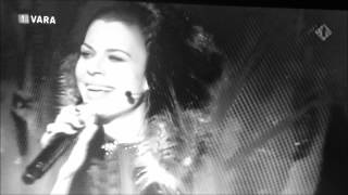 Wolf in Cheap Clothes LIVE