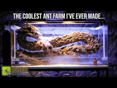 The Coolest Ant Farm I've Ever Made | "LEVIATHAN" Ant Tank