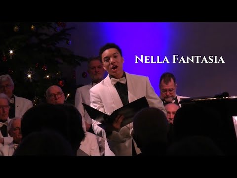 Nella Fantasia (Ennio Morricone) By Roy van Vugt (18 Years Old) | Live