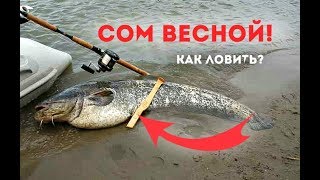 Когда начнется клев на канале