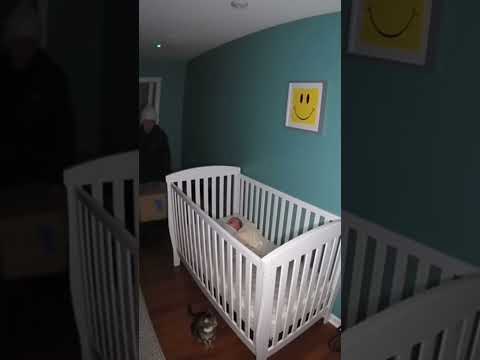 Baby-room CCTV Captures Crib Sliding while Cat Panics at Night #babycat