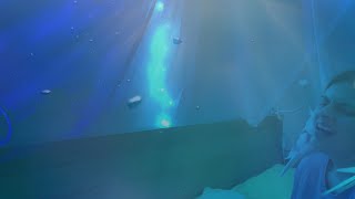 Sia - Unforgettable (Cover)