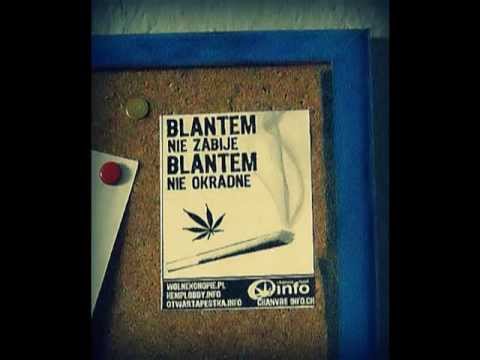 Jasna Liryka-  Legalize