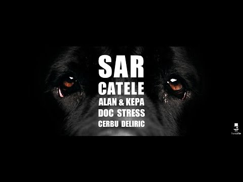 ALAN & KEPA , Doc , Stres, Cerbu', Deliric - Sar Catele [Official Video]