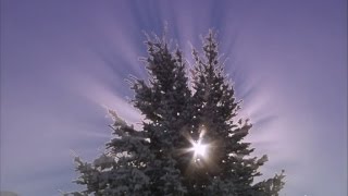 Merry Christmas Holiday ( Santa Song ) - Plastic3