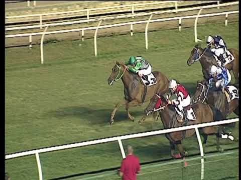 Galoppo 23/08/2017 - 7ª corsa