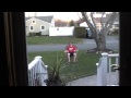 Funny Pranks