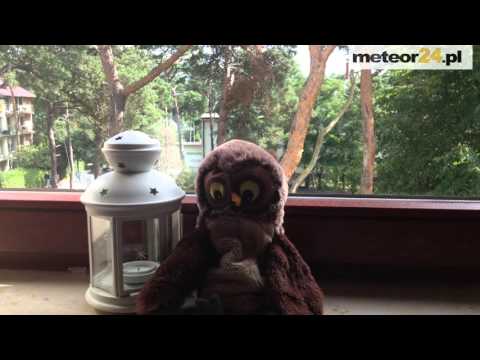 Apartament Sylwia - Jurata meteor24.pl