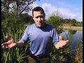 The Jeff Corwin Experience Florida Part 2