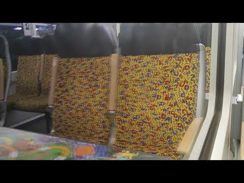 Abenteuer Mitfahrt im Regionalexpress & SEV | Hamburg nach Flensburg | Außerplanmäßige Zugreise!