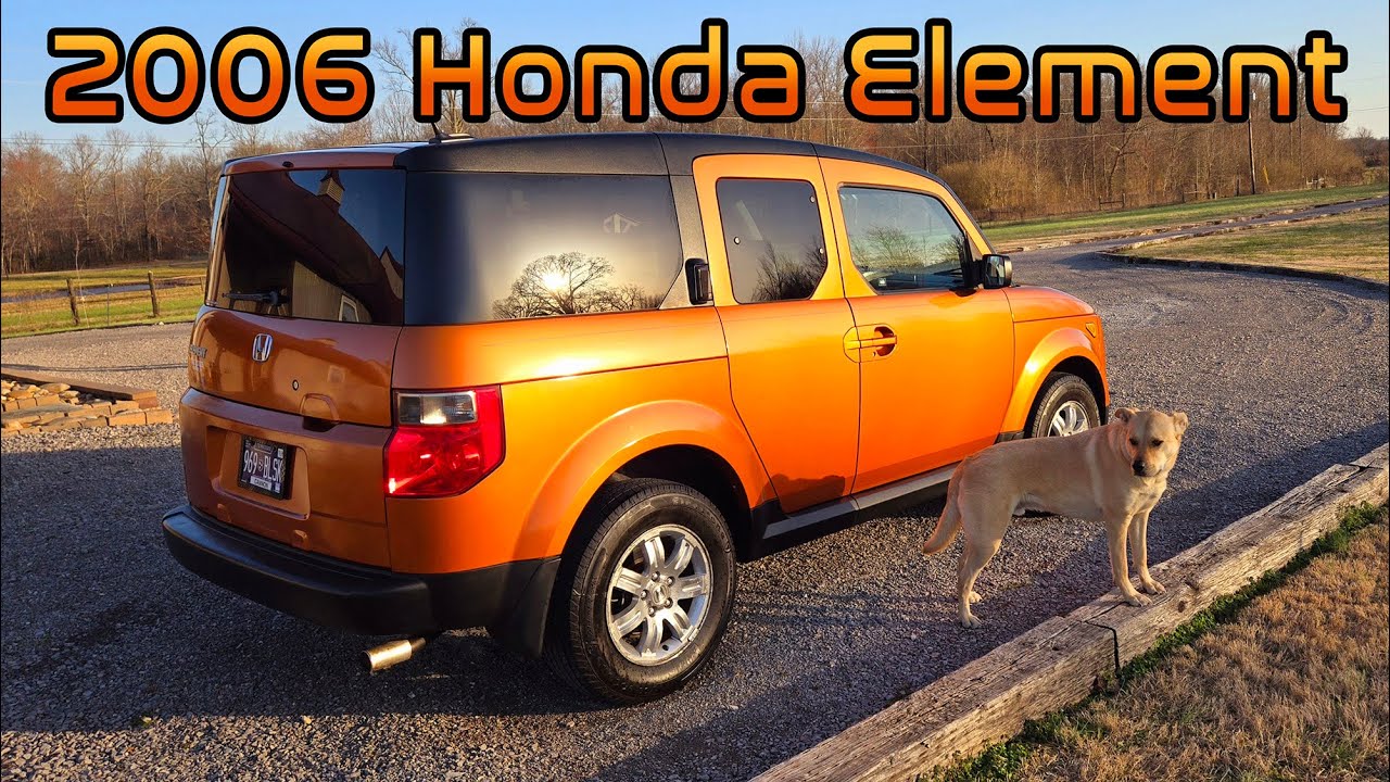 Best Dog Car: 2006 Honda Element EX-P