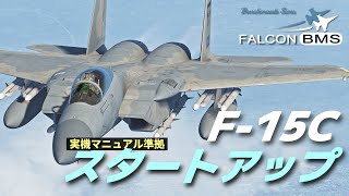 F-15C スタートアップ【FalconBMSチュートリアル】