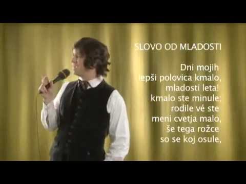 Jurij Zrnec - Poezije Franceta Prešerna