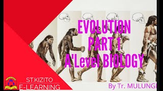 ST KIZITO SS BUGOLOBI 10 BIOLOGY EVOLUTIONS