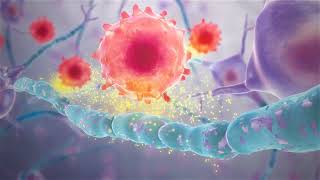 Myelin Sheath Destroyed by T-Cells