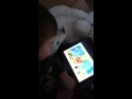 PBS Daniel Tiger Sing Along