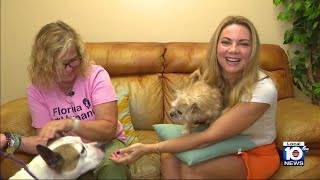Local 10's Animal Advocate Jacey Birch visits Pompano Beach Humane Society