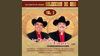 Arturo Garza Trevino