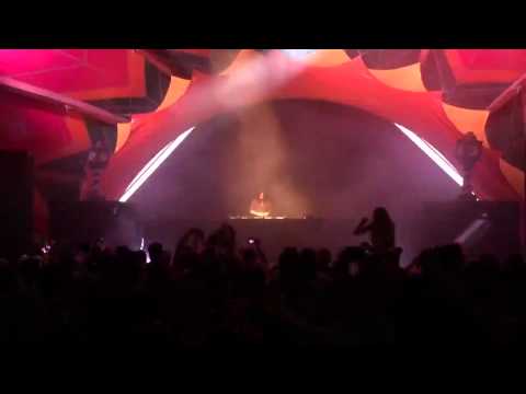 SKAZI LIVE @ Tomorrowland Brazil - I Wish (Remix to Infected Mushroom)