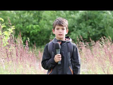 Cum ne echipăm de drumeție - Tudor Mihailescu