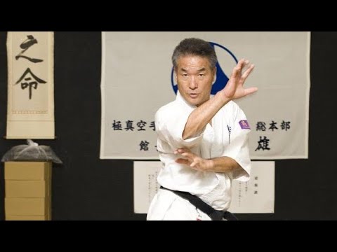 【訃報】極真の伝説・盧山初雄会長が逝去…下段廻し蹴りは永遠に🥋🙏#盧山初雄 #極真空手 #極真館 #空手 #訃報 #下段廻し蹴り #三日月蹴り #全日本空手道選手権 #武道 #格闘技 #日本スポーツ