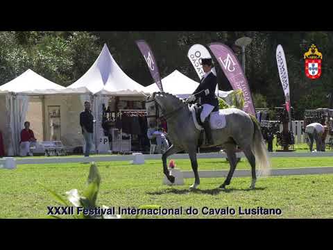 XXXII FIPSL - 210919 Modelos e Andamentos Classe IV Cavalos de quatro anos