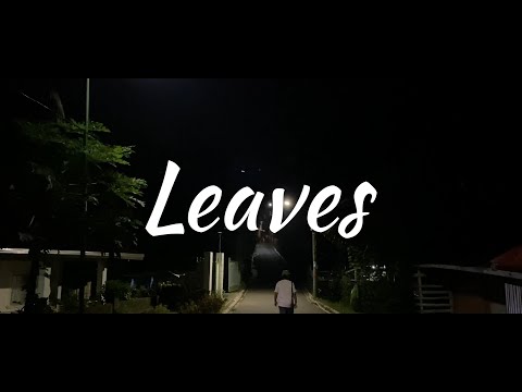 Leaves - Ben&Ben / JDV Cover