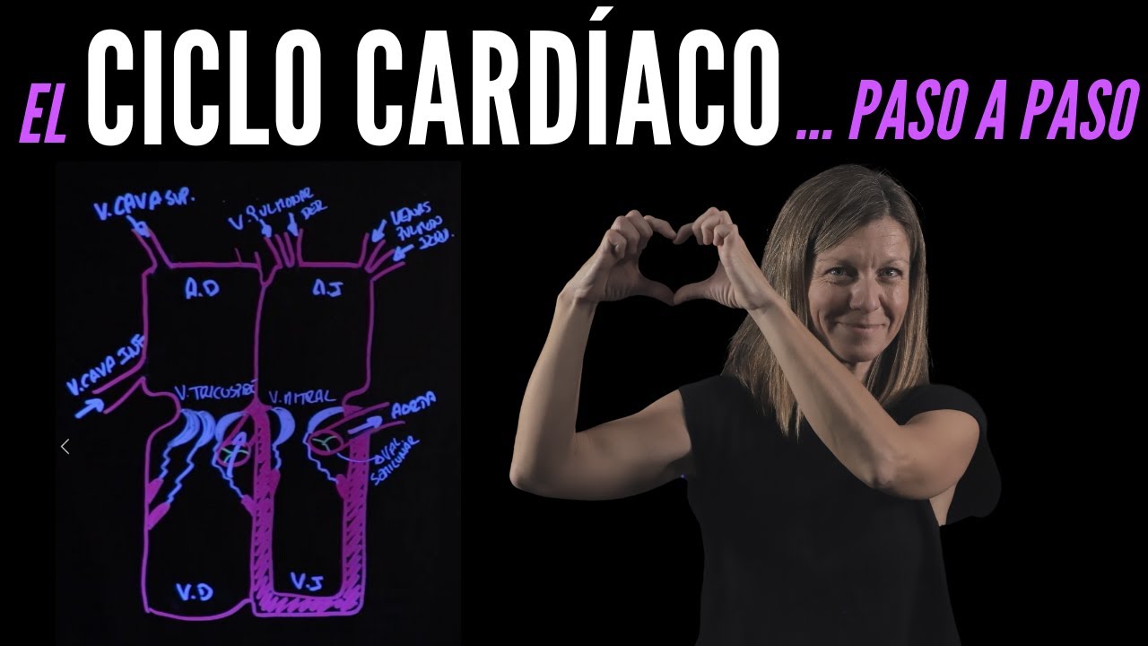 Anatomía del Corazón y Ciclo Cardíaco
