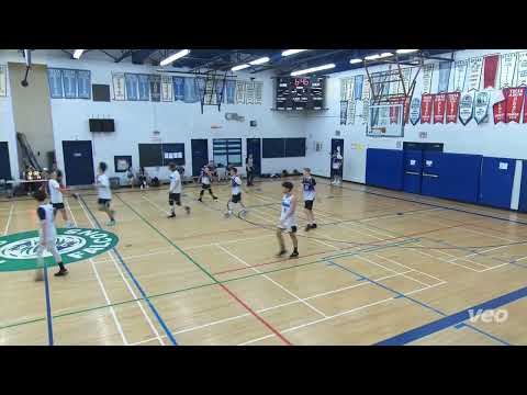 Dream Chaser vs Ice Vein - Saturday tier 10 Semi finals - tcbl 2022 summer