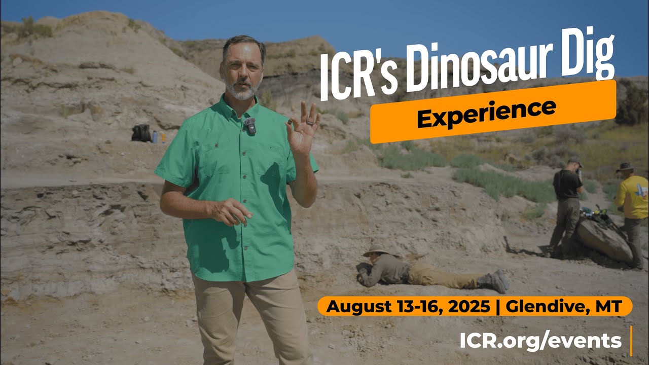 The ICR Dino Dig Experience 2025