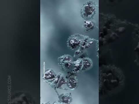 #DNA #Packaging⁠⁠ #Animation