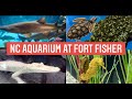 The North Carolina Aquarium At Fort Fisher
