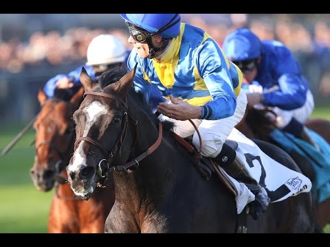 München: Pastorius Grosser Preis von Bayern (Gruppe 1) - Sieger: Guignol