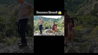 Download lagu Journey 2 mysterious Island full movie explained in Hindi/Urdu #shorts mp3