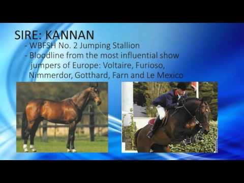 BLM CosmopolitanCharlie 122015 3