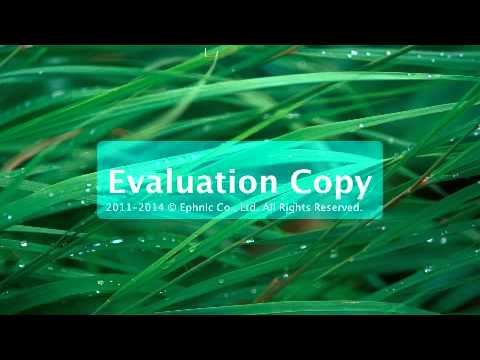 said bahadin barznji 4