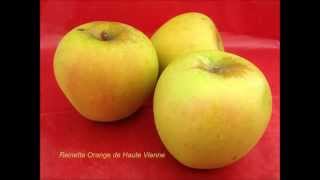 preview picture of video 'Les pommes duVal de Loire : le verger collection du val de Baule, quelques variétés.'