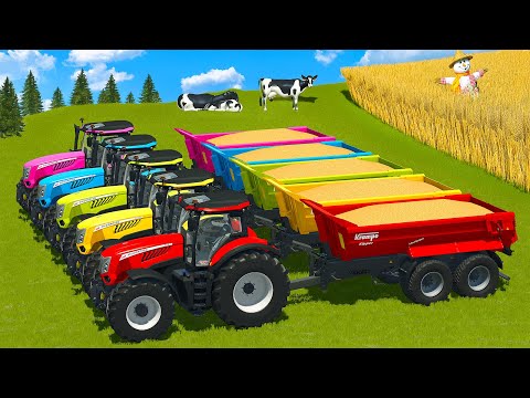 HARVEST, LOAD AND TRANSPORT WHEAT WITH MCCORMICK TRACTORS - Farming Simulator 25