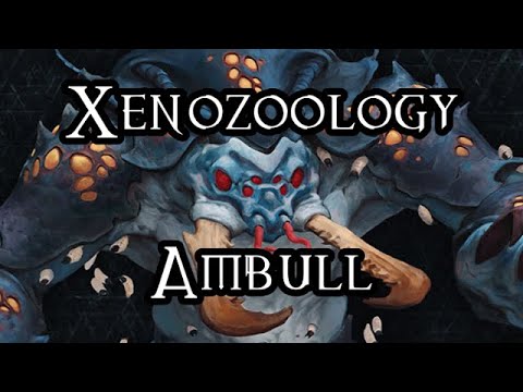 Xenozoology: Ambull - 40K Theories