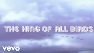 Aoife O'Donovan - "The King of All Birds" Lyric Video