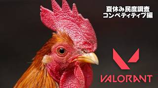 【VALORANT】夏休み民度調査隊