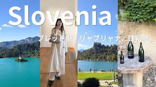 vlog) スロベニア旅行|ブレッド湖・リュブリャナ・ポストイナ鍾乳洞|日本人の98%が行かない絵本の国🇸🇮